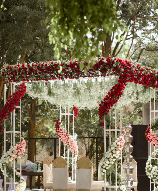 Untitled design (5) (1)